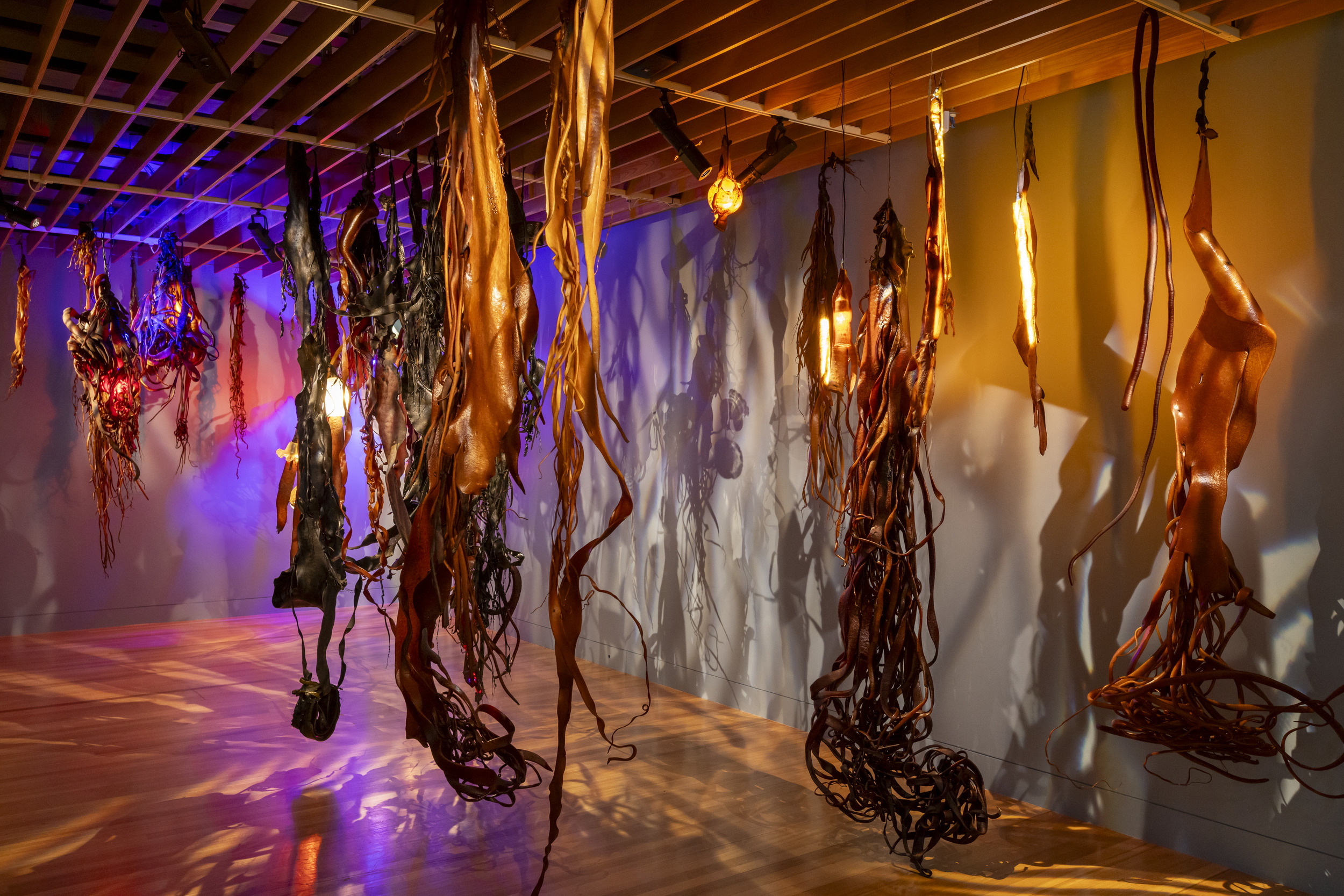 A room with purple and yellow lighting and long strips of sea kelp hanging down off a rack.