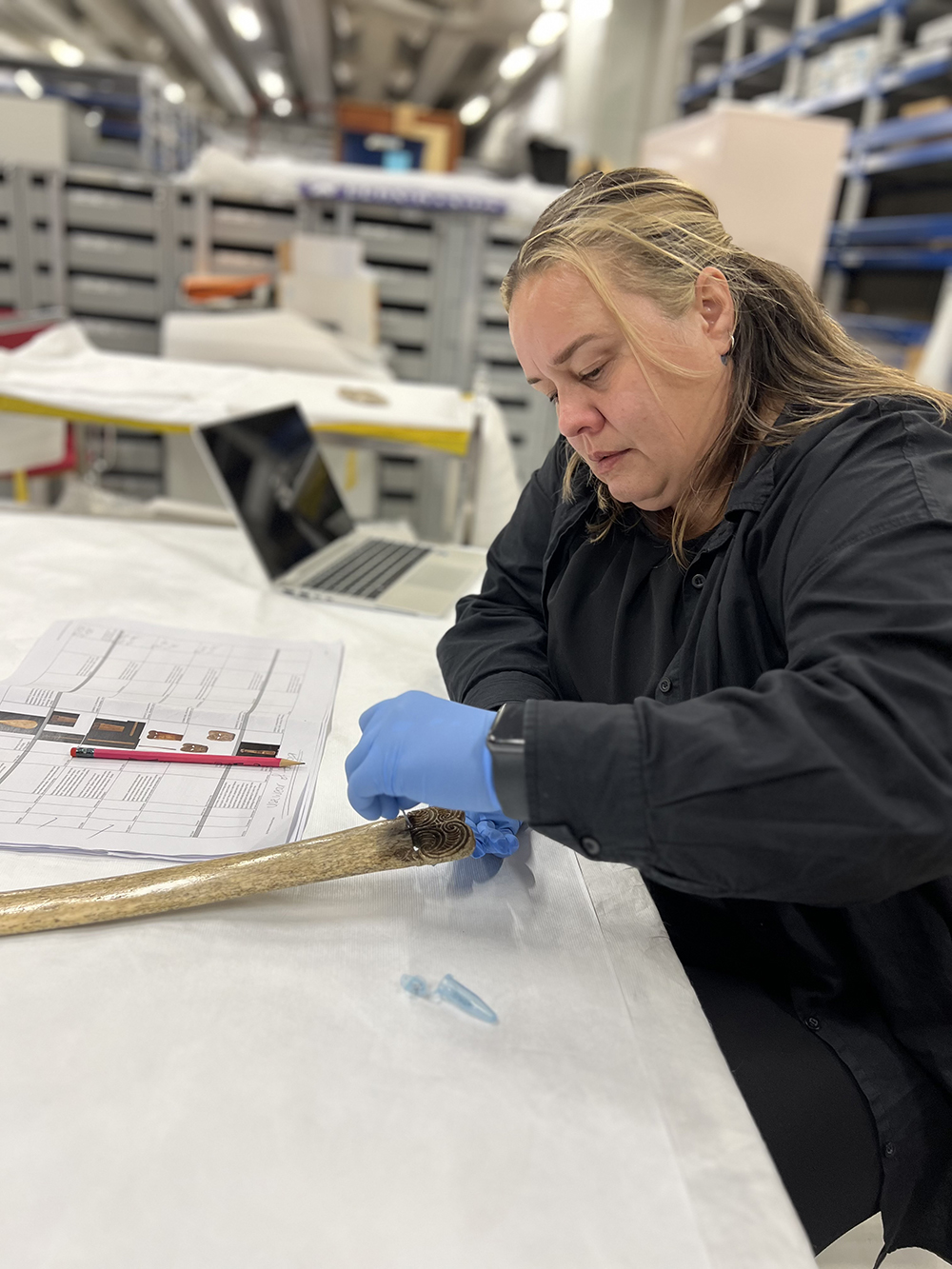 A woman with blue gloves on is holding a long whale bone spear and taking a sample from it.