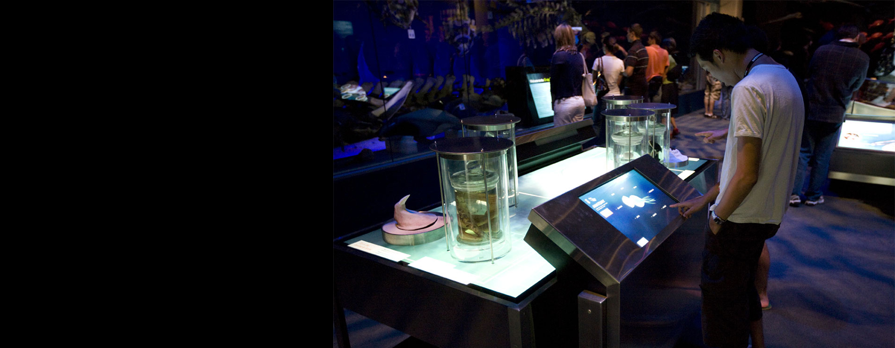 Three people looking at jars of creatures in a museum