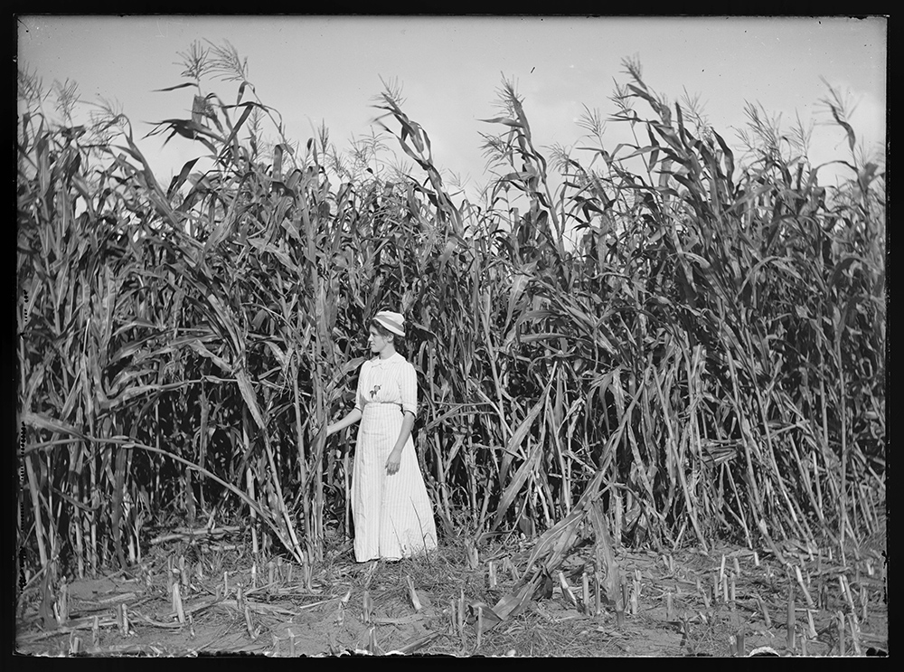 A black and white photo of a woman in a long white outfit and a white hat. She is standing in front of very tall maize plants that are nearly twice her height.