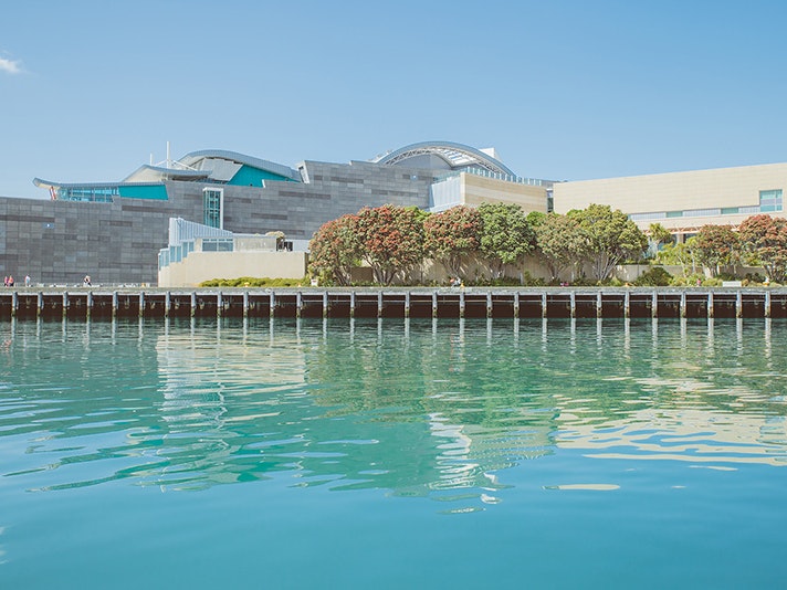 Te Papa across the water, 2018. Photo by Amanda Rogers. Te Papa (106997) A view of Te Papa from the wharf on the other part of the harbour. There are pōhutukawa trees in flower in front of the building and it is a sunny day.