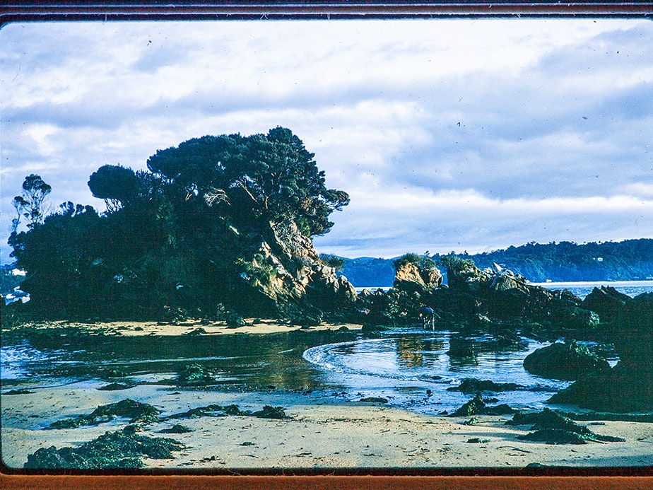 Photographic slide of Lonnekers Nugget, Rakiura; From the collection of Adams, Nancy. Te Papa (CA000903/003/0031/0009) A slide image view of a rocky outcrop surrounded by an inlet.