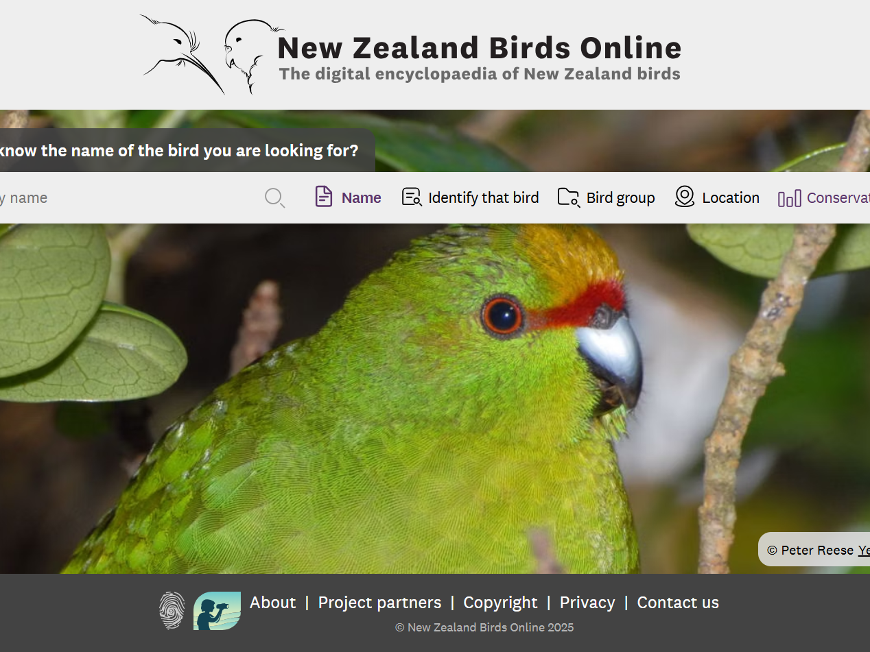 New Zealand Birds Online screenshot, April 2025 An image of the NZ Birds Online homepage, containing a search box and a background image of a Kākāriki