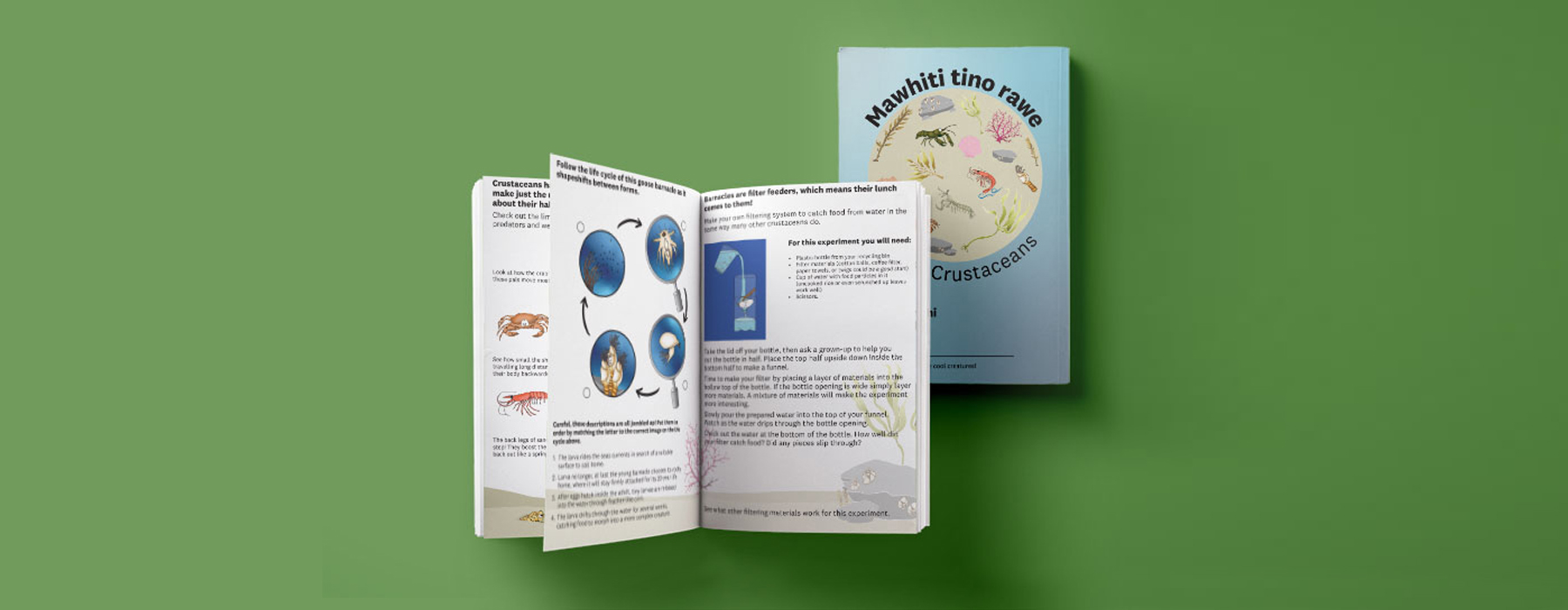 Clever Crustaceans activity book cover and page spread on a green background.