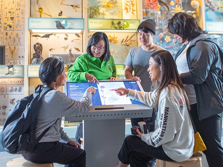 Te Papa hosts, 2025. Photo by Jeff McEwan. Te Papa (271937) Several people are gathered around a screen that is describing what they can see on the wall behind them.