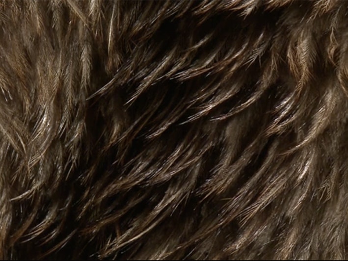 Still from video The Tirikātene family cloak. Te Papa Closeup of a feather cloak with a slight fold in it.