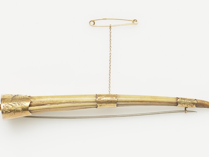 Kiwi beak brooch, 1880-1910, New Zealand, by Frank Grady. Purchased 2021. CC BY-NC-ND 4.0. Te Papa (GH026077) A brooch made from the beak of a bird with gold fixings and a small gold chain.