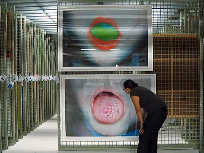 Still from Tales of Te Papa Anne Noble A woman is looking closely at a large photographic artwork on a rack in an art storeroom.