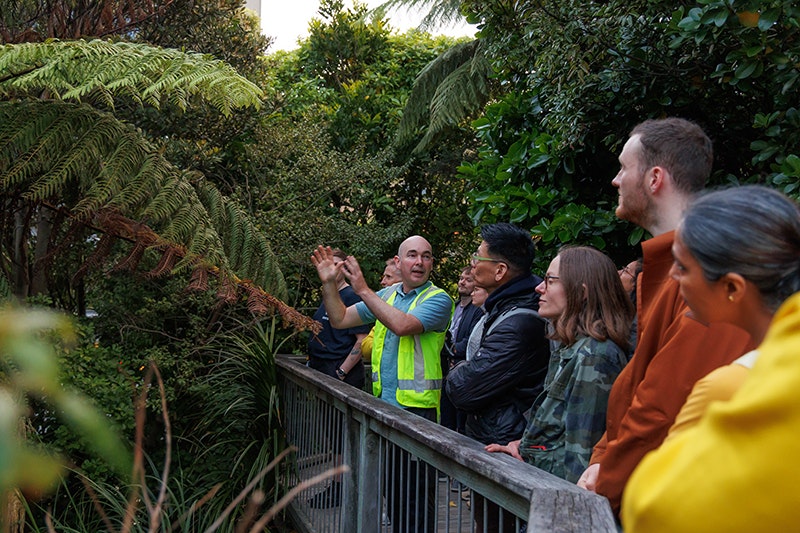 A male curator wearing a high visibility vest talks and gestures at a large tree fern in Bush City. He is talking to a group of 9 people who are all looking at the fern.