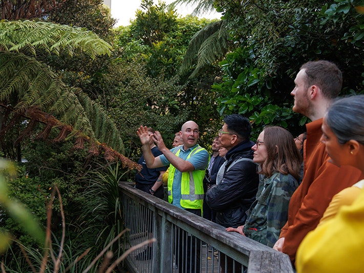 Kōanga After Dark 2024, Photo by Jo Moore. Te Papa (249734) A male curator wearing a high visibility vest talks and gestures at a large tree fern in Bush City. He is talking to a group of 9 people who are all looking at the fern.