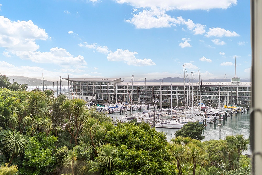 A view of Wellington harbour and moored boats with native trees in the foreground.