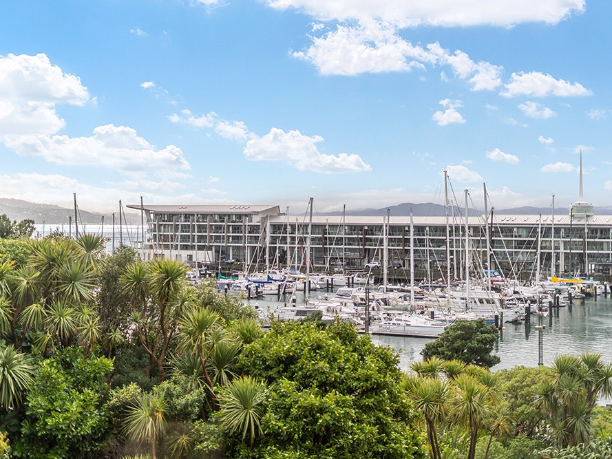 Te Papa Venues 2024. Photo by the Way Home. Te Papa (267203) A view of Wellington harbour and moored boats with native trees in the foreground.