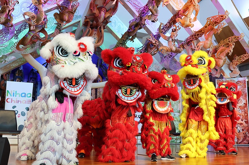 Five people in Chinese Dragon costumes are on the stage at Te Papa