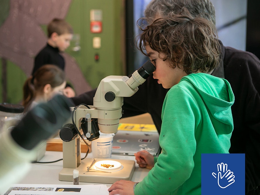 Te Taiao Whānau Day: Backyard Birds and Bugs, 12 July 2019. Photo by Jo Moore. Te Papa (141700) Children looking through microscopes at small bugs.